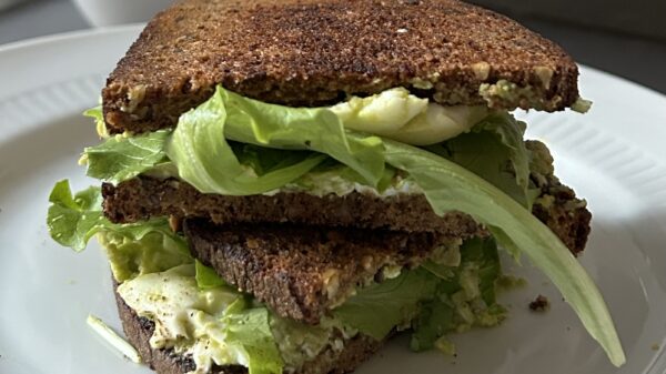 Avocado toast. Panino con crema di avocado e insalata